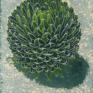 A print by Mary Andrews titled 'Victoriae Reginae II'
