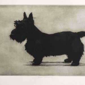 Brodie Standing a Etching by the Artist Helen Fay