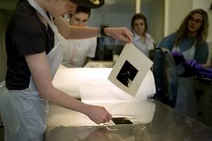 Group of people with one holding a print